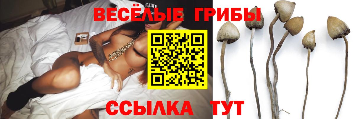 Галлюциногенные грибы Cubensis  Галлюциногенные грибы мухоморы  Курчатов  Вход с VPN 